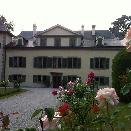 Hotel Château de Veigy Exterior foto