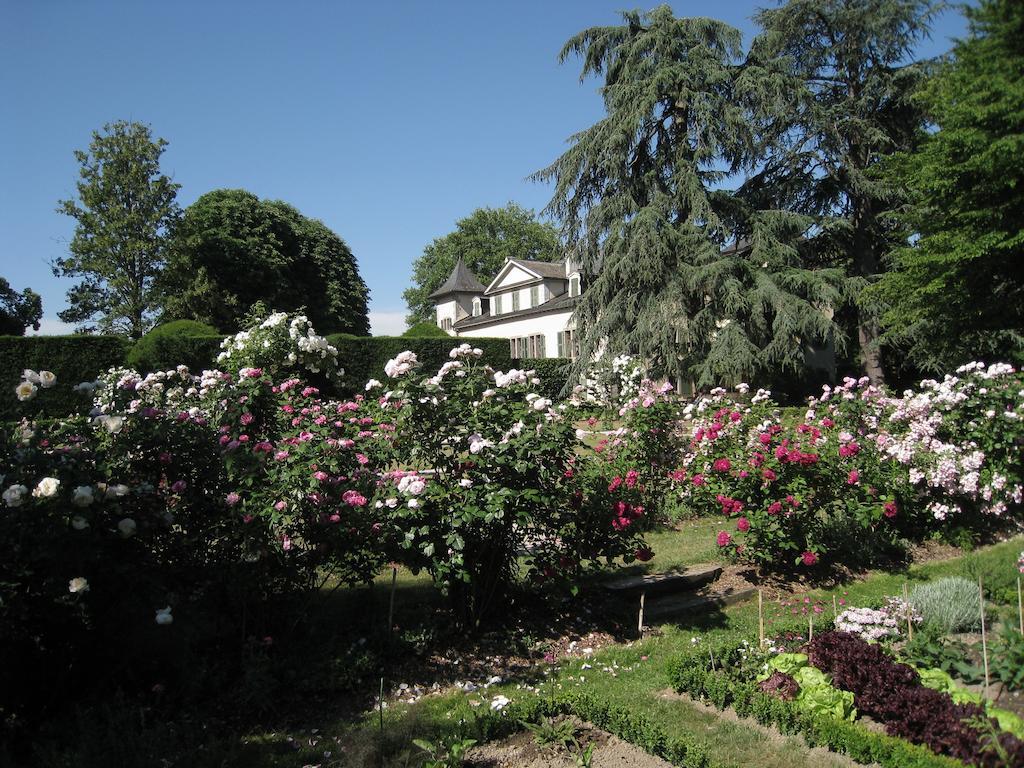 Hotel Château de Veigy Exterior foto