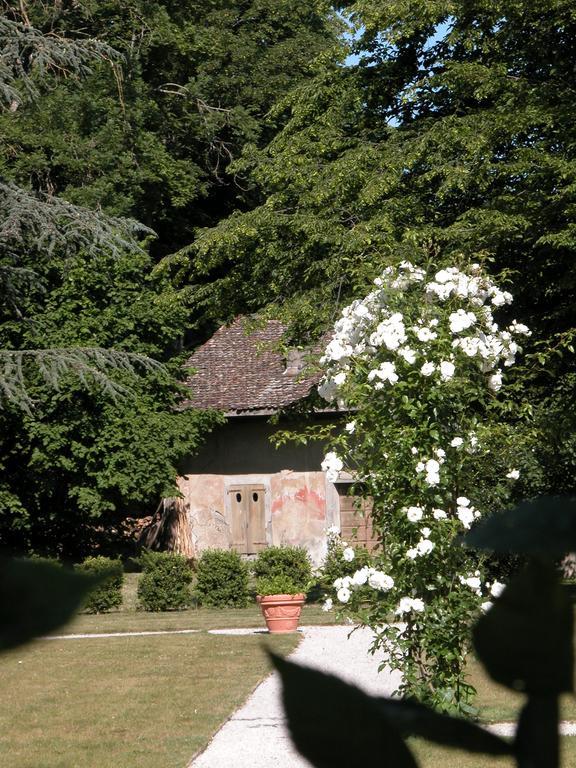 Hotel Château de Veigy Exterior foto